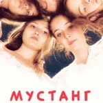 Мустанг Постер Турецкое Кино